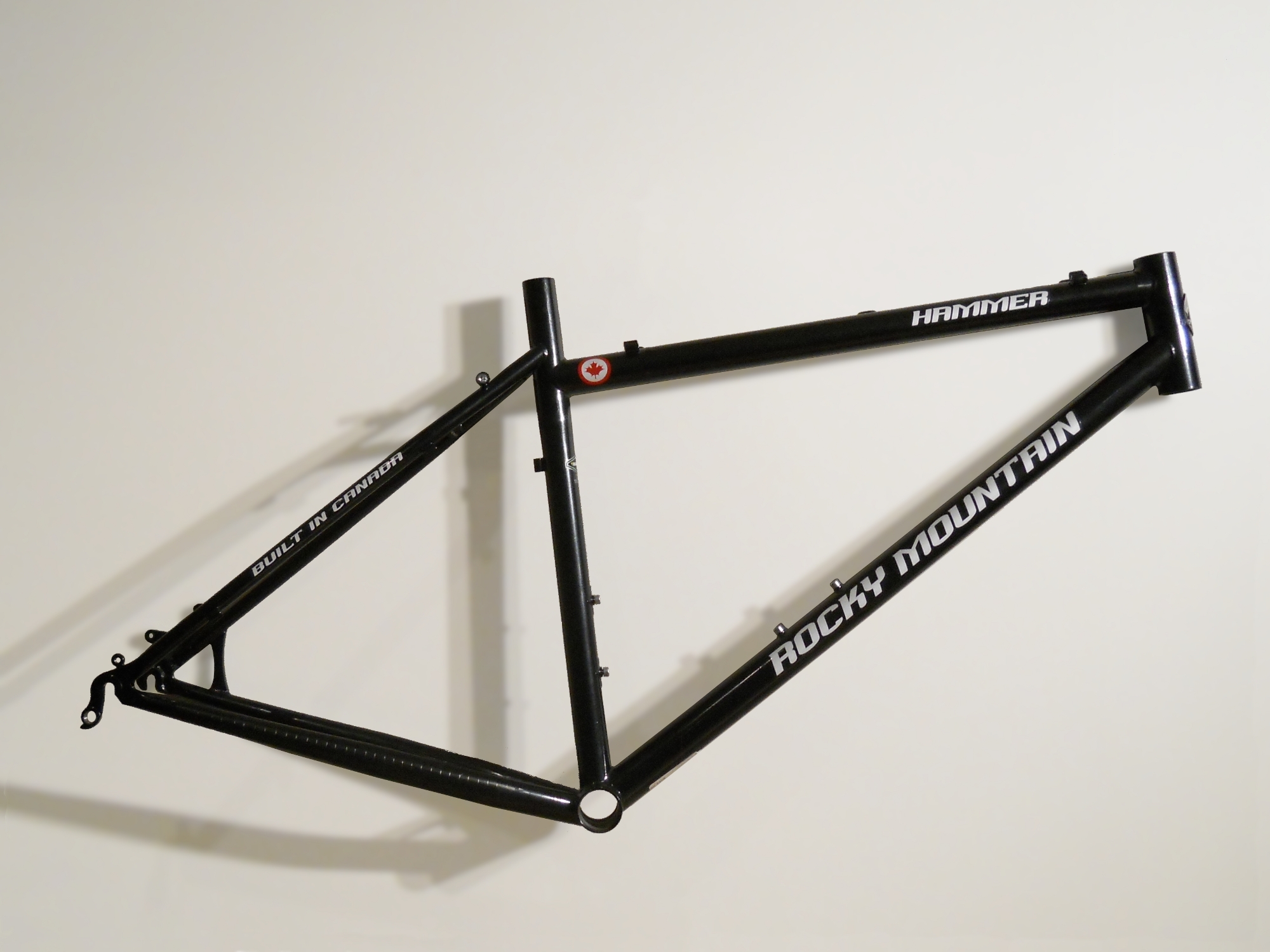 Frame & Fork